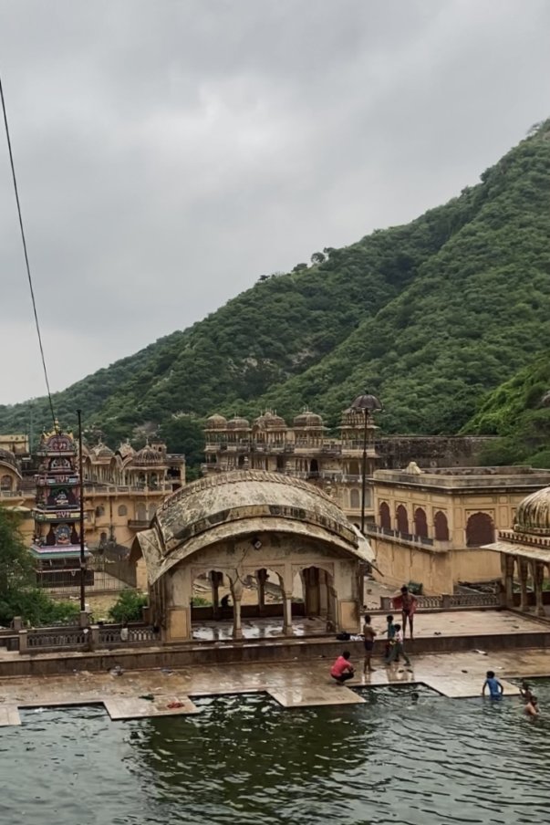 Top 10 India. Templo Monos en Jaipur