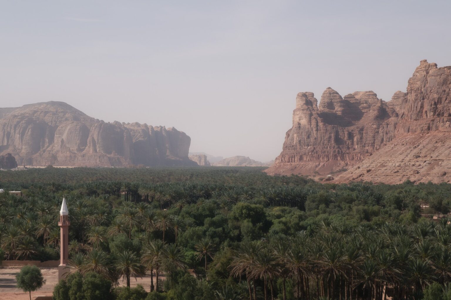 Palmeral de AlUla