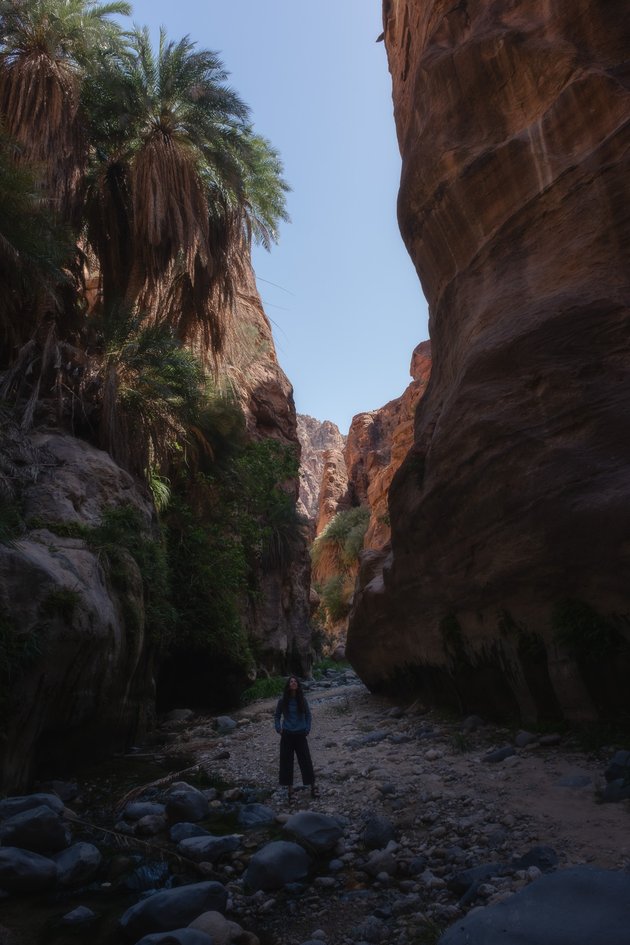 Wadi Ghuweir oasis