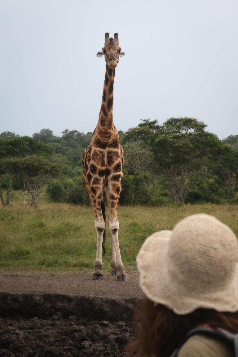 Mburo NP